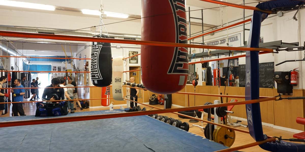 ESCUELA DE BOXEO 0001