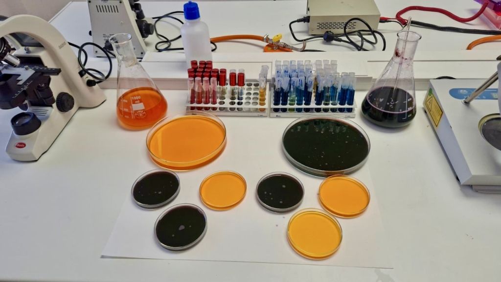 laboratorio forense