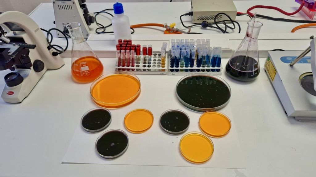 laboratorio forense